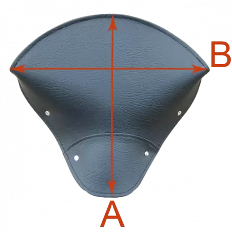 350cm3 Terrot - 3